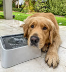 Bebedouro inteligente