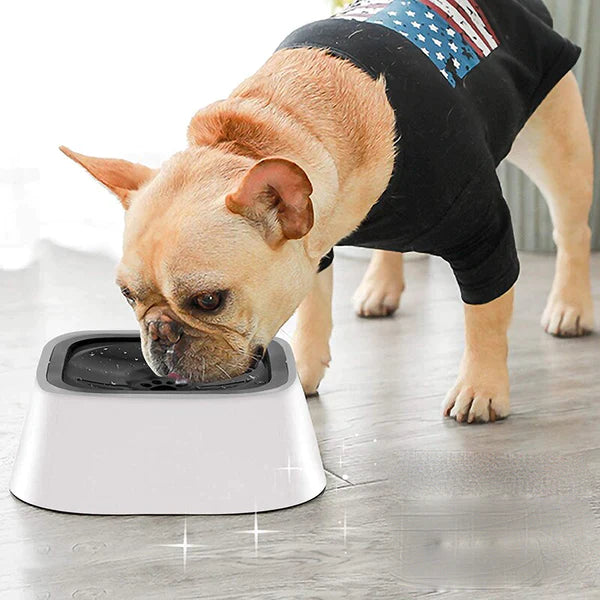 Bebedouro inteligente