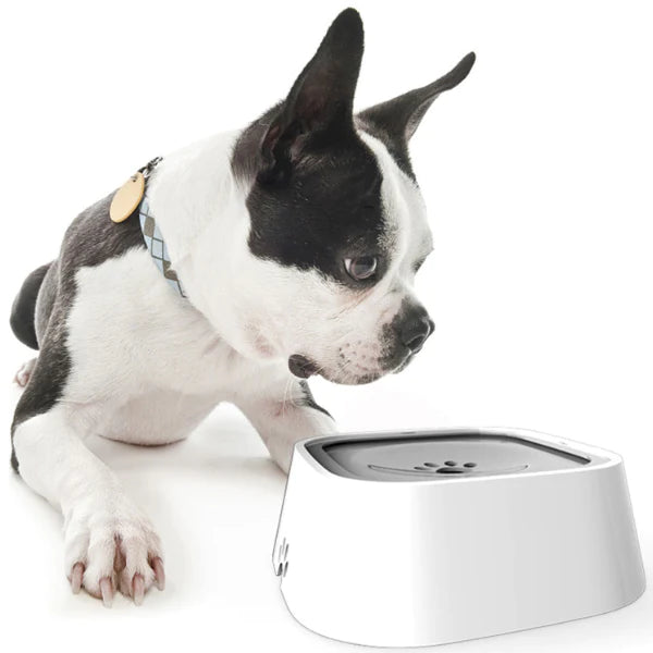 Bebedouro inteligente